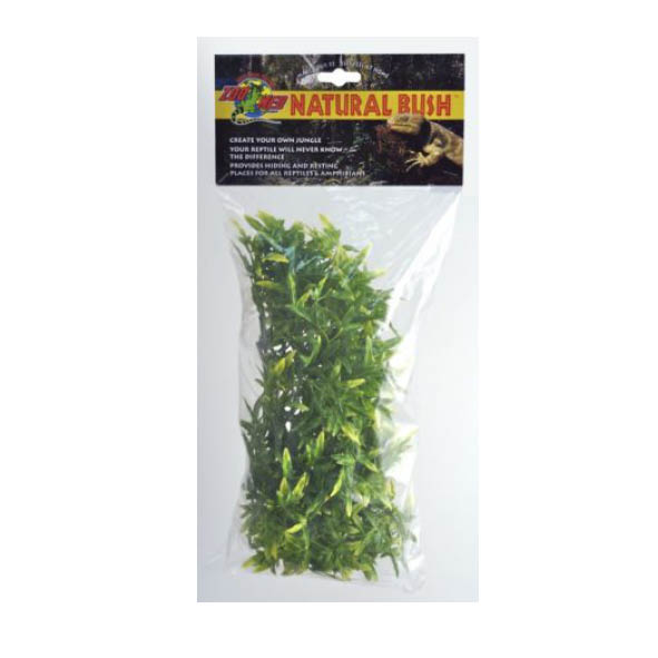 Medium Bolivian Croton